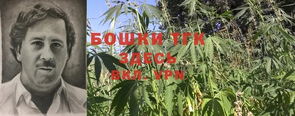 дмт Нязепетровск