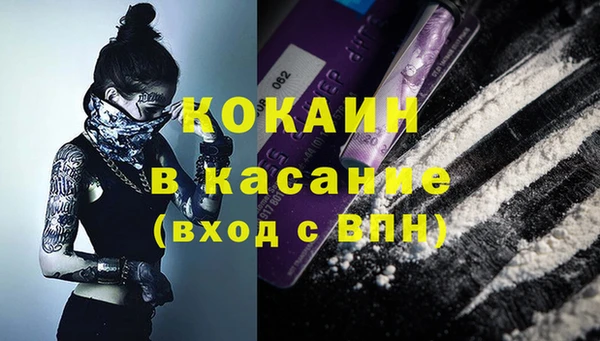 твердый Нягань