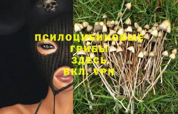 твердый Нягань
