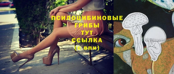 твердый Нягань