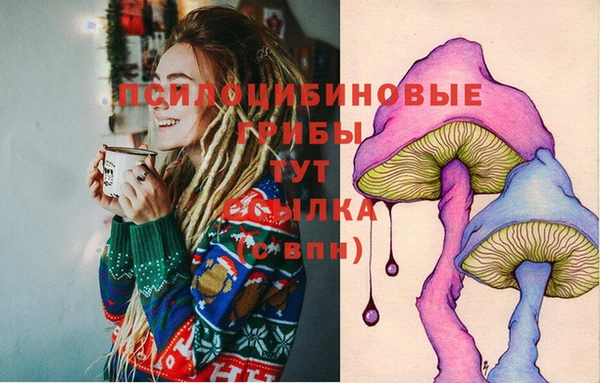 круглые Няндома