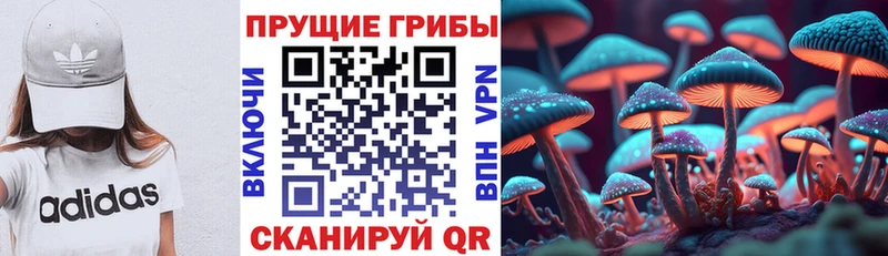 mega   Калининград  Псилоцибиновые грибы прущие грибы  купить закладку 